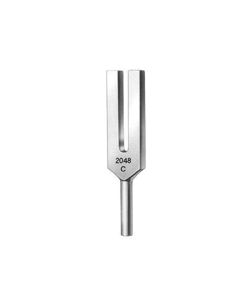 Tuning Fork