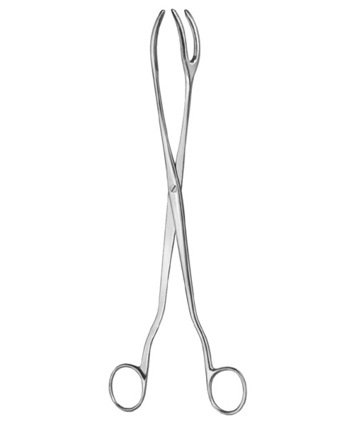 Sterilizing Forceps